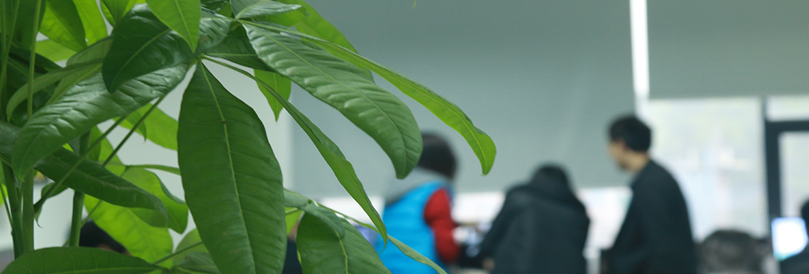 新奇特网络公司实景图片